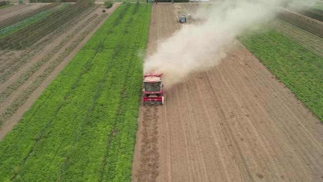 花生收獲機(jī)行業(yè)“馬太效應(yīng)”凸顯，強(qiáng)者恒強(qiáng)！